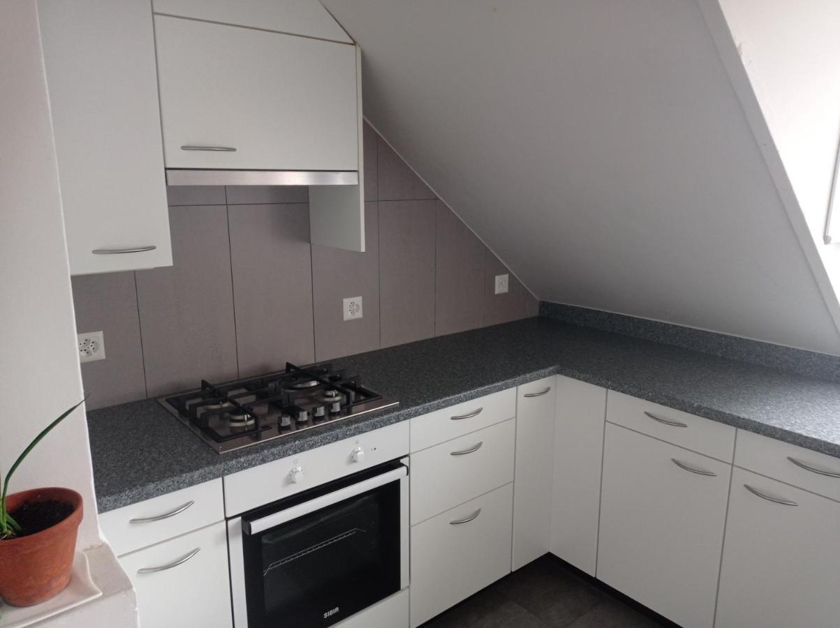 Gemuetliche Dachwohnung Sankt Gallen Buitenkant foto